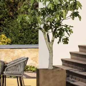 Borek | Aurora | Planter | 61x61